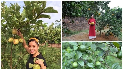 Bên trong nhà vườn trồng vô số trái cây của NSƯT Chiều Xuân