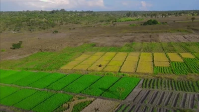 Trang trại Quang Linh Vlogs ở Angola chỉ là phim trường ?