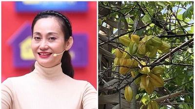 Khu vườn giản dị ngập rau trái của NSƯT Hạnh Thúy
