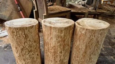 Tận thấy loại gỗ xưa dành cho vua chúa nay chục tỷ mỗi khúc 