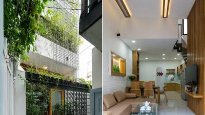 Nhà phố 50m2 trong hẻm nhỏ ngập ánh sáng và cây xanh