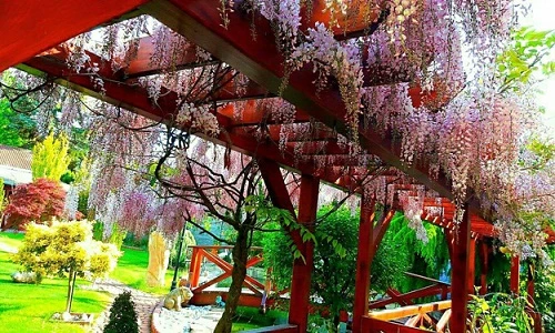 Khu vườn đẹp như thiên đường của mẹ Việt ở Séc