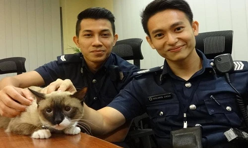 Hot boy cảnh sát cứu mèo khiến fan nữ “ngất” vì đẹp trai