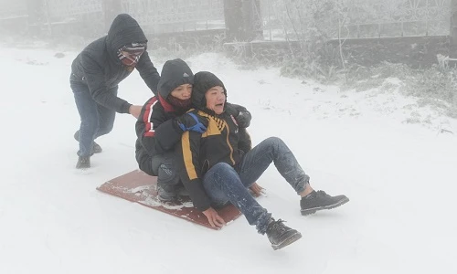 Giới trẻ thích thú chơi trò trượt tuyết ở Mẫu Sơn