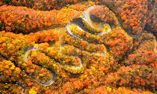 Vẻ đẹp cung đường nguy hiểm nhất thế giới khi thu về