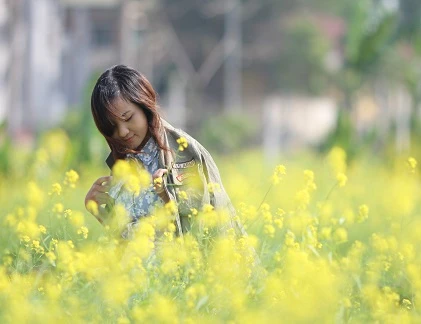 Hoa cải vàng rộ, chinh phục giới trẻ Hà thành