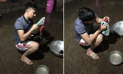 Vợ trẻ ghen tỵ với "người tình gà" được chồng yêu chiều