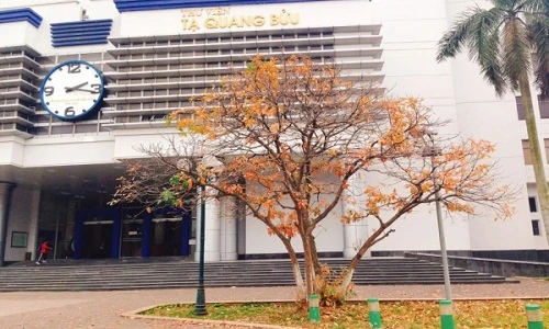 Nam thanh nữ tú đổ về ĐH Bách Khoa "sống ảo" với mùa lá đỏ