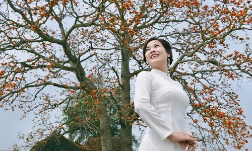 Tháng Ba, hoa gạo Bắc Giang đẹp đến nao lòng thiếu nữ
