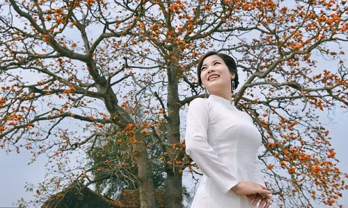 Tháng Ba, hoa gạo Bắc Giang đẹp đến nao lòng thiếu nữ