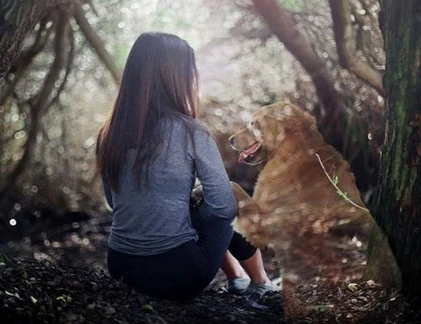 9x gốc Việt nổi tiếng ở Mỹ với tài nhiếp ảnh