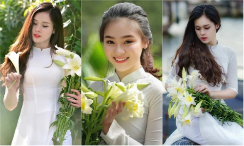 Gợi ý cách tạo dáng bên hoa loa kèn cho các chị em