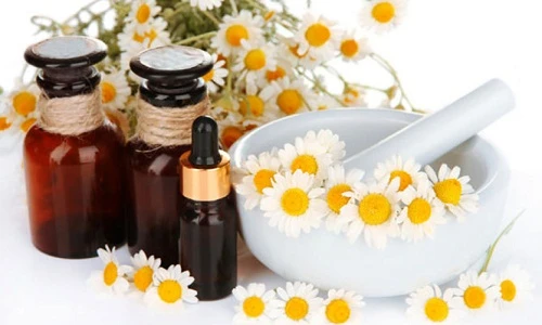 Những thảo mộc giúp bạn chống lại căng thẳng