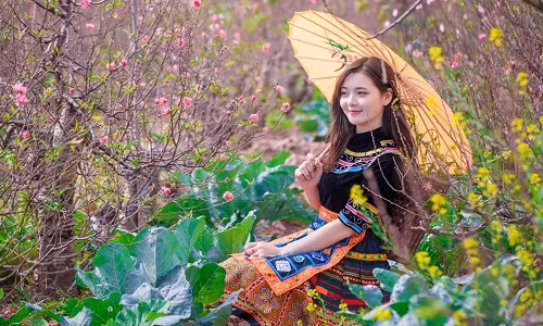 “Hot girl dân tộc” khoe sắc trong vườn hoa đào Tết