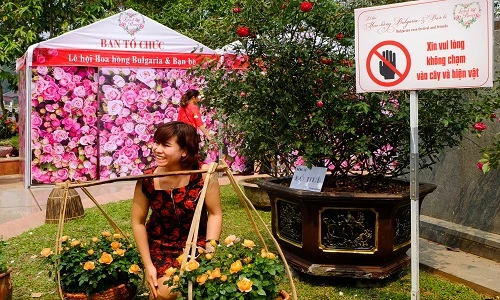 Thất vọng với Lễ hội hoa hồng, gái trẻ vẫn cố “tự sướng”