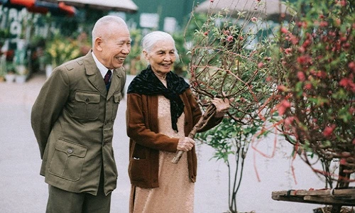 Xúc động trước bộ ảnh "Ông bà anh" đi chợ Tết