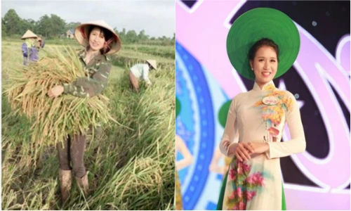 “Hot girl gặt lúa” mới nổi sẽ đi thi hoa hậu? 