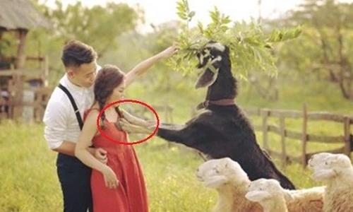 Đi chụp ảnh cưới, chú rể điếng người vì cô dâu gặp "dê xồm"