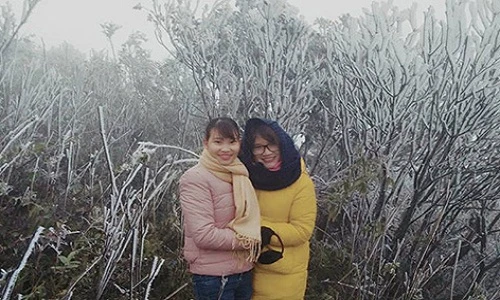 Du khách thích thú ngắm tuyết rơi trên đỉnh Mẫu Sơn