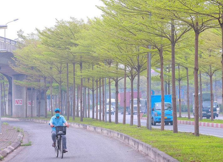 Khoảng thời gian giao mùa cuối tháng 3 được xem là thời điểm cây ra lá đẹp nhất trong năm.