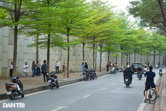 Người Hà Nội đổ xô tới chụp ảnh với đường lá bàng đẹp như Hàn Quốc: Sau cơn sốt đường hoa phong linh tại Hà Đông, nhiều bạn trẻ Thủ đô lại rủ nhau chụp ảnh đẹp bên con đường cây bàng lá nhỏ xanh mơn mởn.