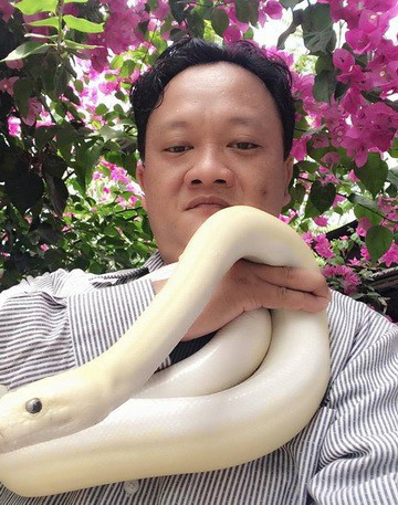 Năm 2017, anh Trần Trung Kiên (ngụ tại huyện Thới Bình, tỉnh Cà Mau) có một thú chơi khác người: chơi trăn kiểng. Ngoài giờ làm, về đến nhà là anh lao vào chăm sóc đàn “bạch xà”, hay còn gọi là trăn trắng, trăn đột biến.