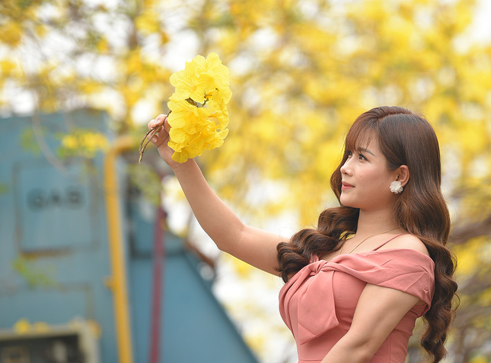 Người dân Hà Nội đang đổ xô đi chụp ảnh với hoa Phong Linh.