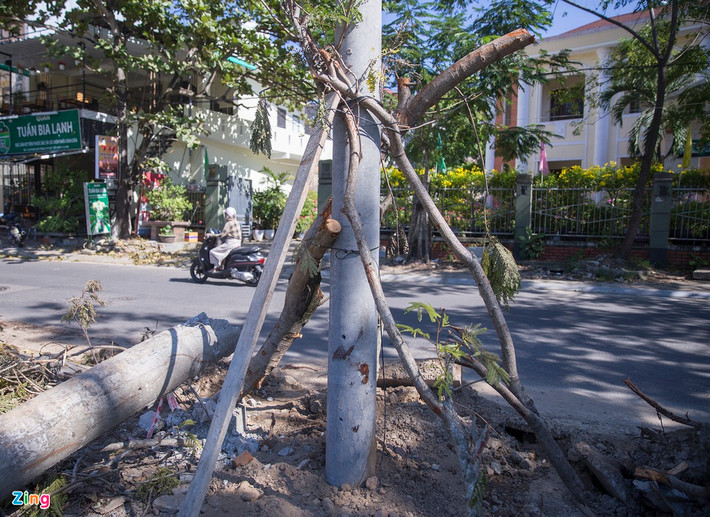 Công ty Điện lực Thừa Thiên - Huế huy động gần 500 kỹ sư, công nhân và hơn 100 phương tiện làm việc cả ngày lẫn đêm để khắc phục sự cố. Đến nay, công nhân đã dựng lại 68 cột điện bị nghiêng. Ở những vị trí có nền đất yếu, nhân viên sử dụng cành cây để gia cố các trụ điện.