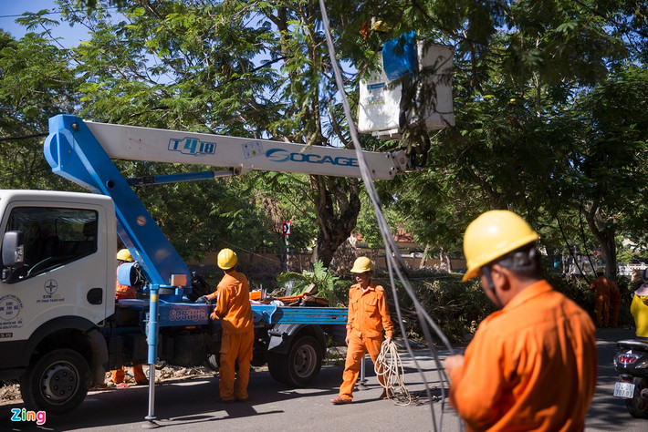 Ảnh hưởng từ bão số 5, hàng loạt cột điện ở các tỉnh miền Trung bị đổ gãy. Theo số liệu Tổng công ty Điện lực miền Trung (EVNCPC - thuộc Tập đoàn Điện lực Việt Nam) đưa ra, 616 cột điện bị gãy, đổ và nghiêng.