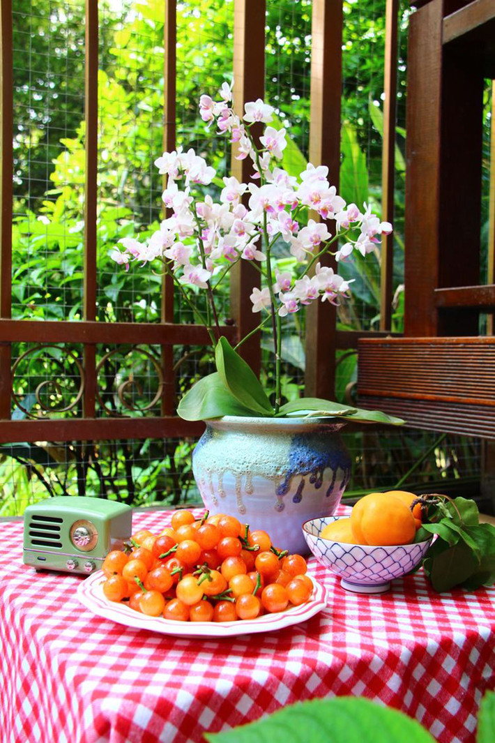 Hoa phi yến, hoa trà, hoa anh thảo, hoa huệ và các loài hoa chịu bóng khác đều phát triển tốt tại đây.