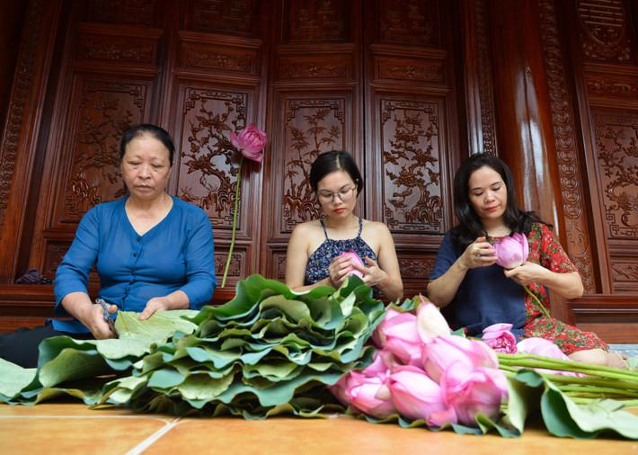 Trà My - một trong những người đam mê món trà này chia sẻ, đơn giản nhất là ướp sen xổi. Chỉ cần chọn đúng hoa sen ở đầm, hái buổi sáng sớm và ngày nắng bởi ngày mưa sen sẽ không lên hương.