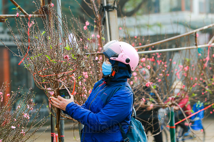 Người dân đi mua hoa chuẩn bị cho Tết còn nhiều người có thói quen đi chơi chợ mỗi khi Tết cận kề.