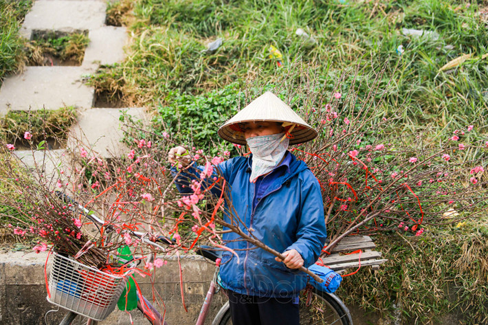 Nhiều tiểu thương khá phấn khởi và kỳ vọng vào một cái Tết ấm no khi giá đào đang được giá.