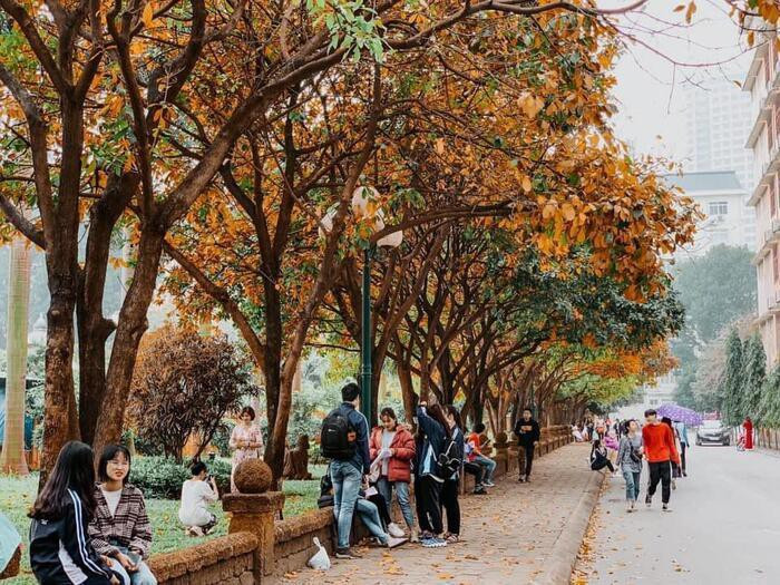 Hà Nội những ngày vào đông luôn ẩn chứa trong mình những hương vị riêng mà hiếm nơi nào trên đất nước Việt Nam có thể cảm nhận được. Nếu như phương Nam có mùa hạ oi bức thì đối với những người con thủ đô, thời tiết vào đông là một thứ “đặc sản” tương tự. Hãy cùng xem thêm một số hình ảnh khác được cư dân mạng ghi lại tại con đường tình yêu bên trong ngôi trường ĐH Sư phạm Hà Nội này nhé!