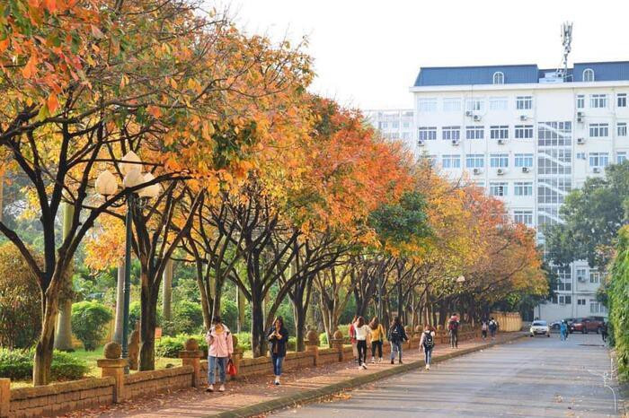 Mặc dù gây ra không ít những khó khăn trong cuộc sống thường nhật, thế nhưng để hỏi người Hà Nội hay những du khách phương xa có dịp ghé đây đúng vào mùa đông lạnh giá có ghét thời tiết này hay không thì xin thưa rằng, câu trả lời là hoàn toàn không!