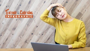 [INFOGRAPHIC] Ngồi bao lâu là hợp lý cho dân văn phòng?