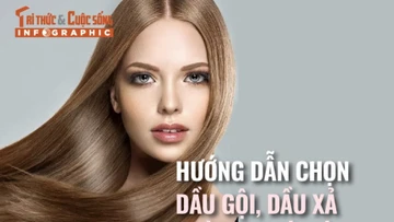 [INFOGRAPHIC] Hướng dẫn chọn dầu gội, dầu xả phù hợp với tóc