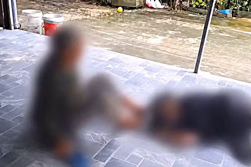 Làm rõ vụ cụ bà lớn tuổi bị chồng đánh, clip lan truyền trên mạng