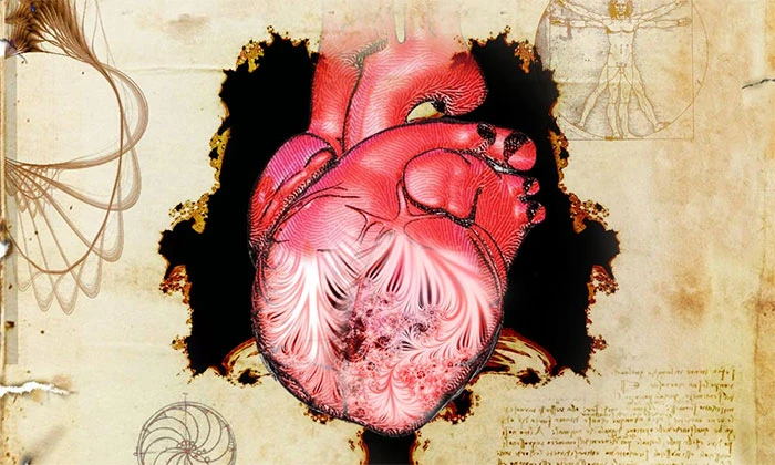 Giải mã bí ẩn bản phác thảo trái tim người của Leonardo da Vinci