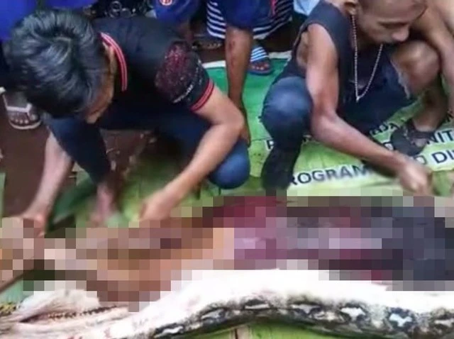 Mổ bụng “quái thú” phồng lên bất thường, rụng rời vì thứ bên trong