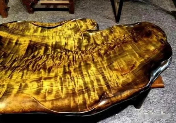 Loại gỗ quý hơn vàng nhưng không ai muốn trồng, bất ngờ lý do