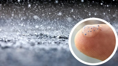 Bất ngờ loài thực vật giúp loại bỏ tới 90% vi nhựa trong nước