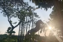 Nhiều linh vật năm Ngọ ở đường hoa đô thị hiện đại nhất TP HCM