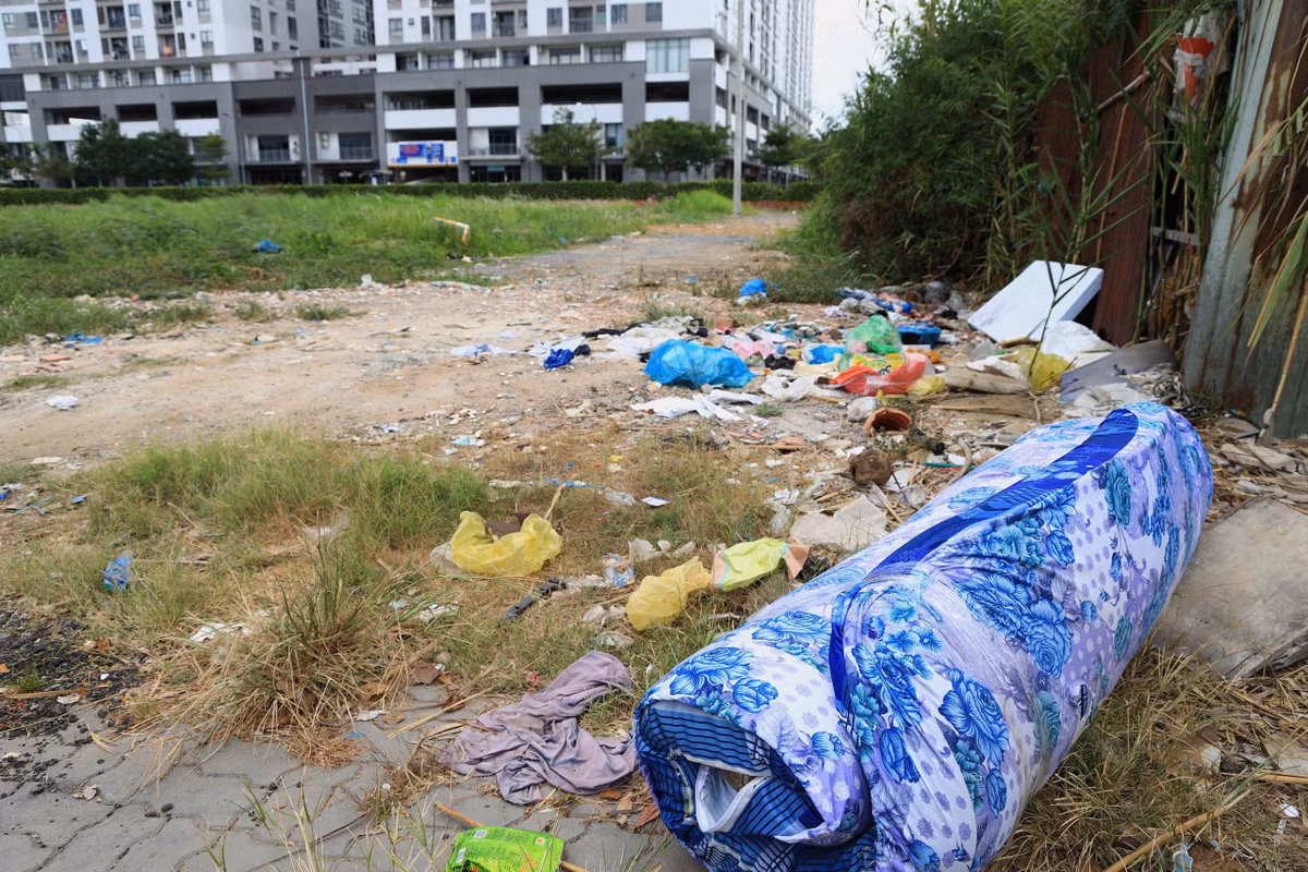 Đường Nguyễn Lương Bằng (phường Tân Mỹ), rác thải sinh hoạt phủ kín vỉa hè, len lỏi dọc các khu đất quây tôn, tạo nên những mảng không gian nhếch nhác giữa tuyến đường.