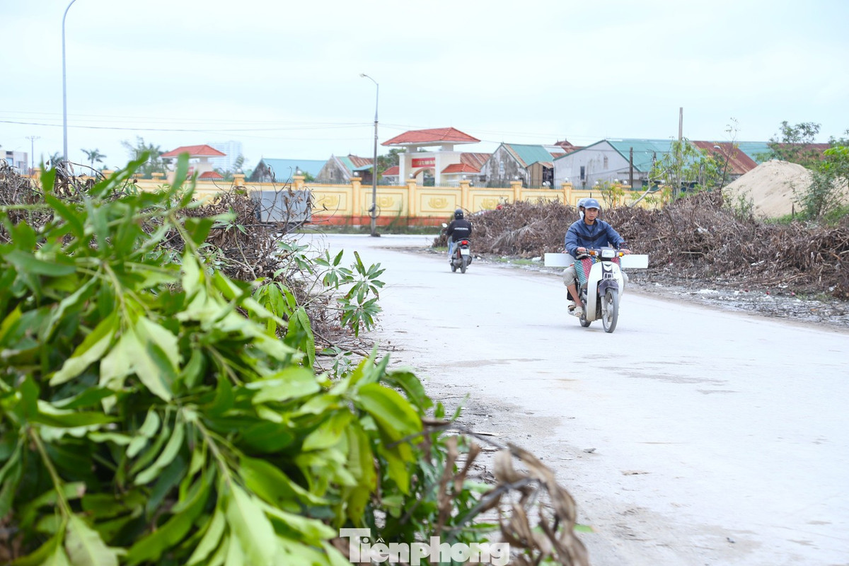 “Sau hai cơn bão số 5 và số 10, lượng rác cây xanh tồn nhiều khiến bãi rác tạm trở nên quá tải. Công ty đã có văn bản gửi UBND tỉnh, Sở Nông nghiệp và Môi trường và Sở Xây dựng cho các đơn vị, doanh nghiệp tận dụng để làm chất đốt. Còn lá cây sau khi rụng, phân hủy sẽ được công ty thu gom, vận chuyển đến nơi xử lý”, ông Thắng chia sẻ.