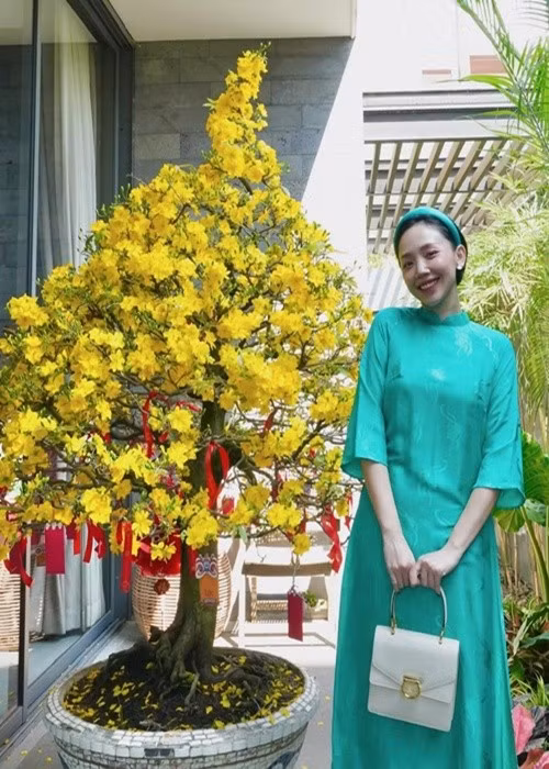 Vợ chồng nữ ca sĩ sở hữu hai căn biệt thự tại TP HCM và Đà Lạt. Căn biệt thự ở TP HCM là nơi ở chính của vợ chồng Tóc Tiên còn căn nhà ở Đà Lạt phát triển theo hình thức homestay cho khách du lịch thuê. Ảnh: FB Tóc Tiên.