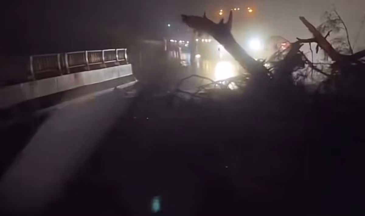 Đất đá cùng cây cối bị sạt xuống cầu treo đèo D'Ran.