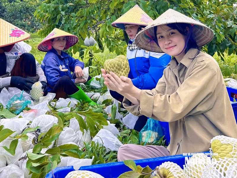 baonghean2.jpg