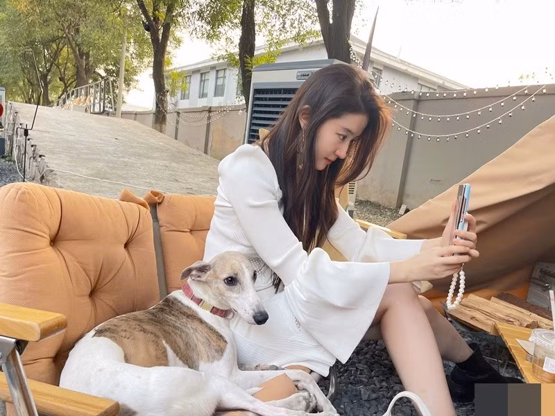 Lưu Diệc Phi từng nhận chăm sóc nhiều chú mèo, chú cún bị bỏ rơi và bị thương. Ảnh: Weibo Lưu Diệc Phi.