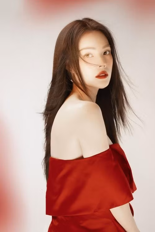 Năm 2023, Dương Cẩm Lynh nợ 6 tỷ đồng. Sau đó, cô mất hơn 1 năm để trả xong món nợ. Ảnh: FB Dương Cẩm Lynh.